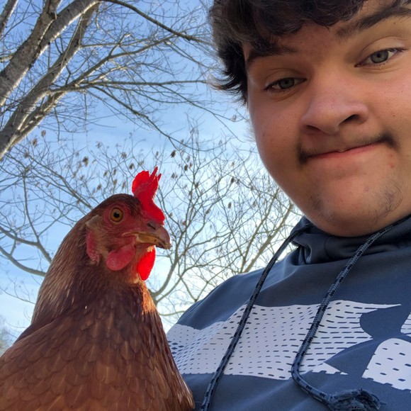 stevenboogolden